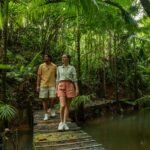 Australian Rainforest Daintree Travel Guide for First-Time Visitors