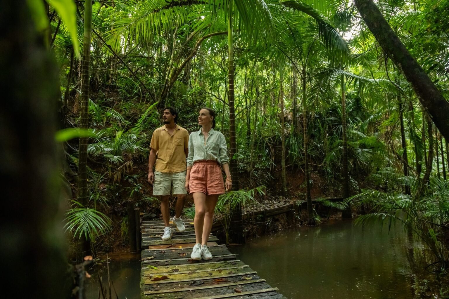 Australian Rainforest Daintree Travel Guide for First-Time Visitors