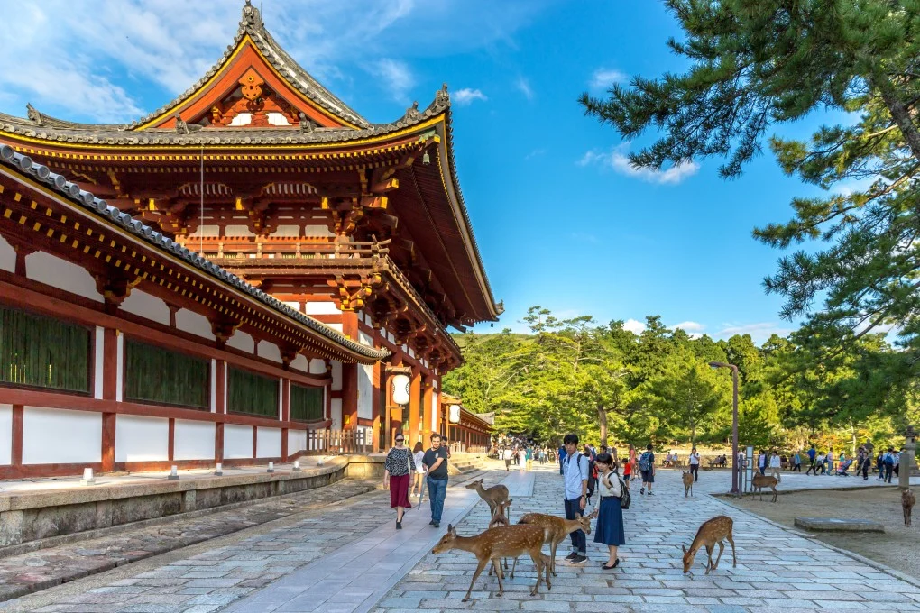 Nara In Japan