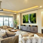 Best Home Theater Ideas