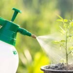 Why Your Leafy Greens Hate Foliar Liquid Fertilizer (And What To Do Instead)