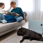 Best Solar Heaters For Winter in Countries With Heavy Snowfall